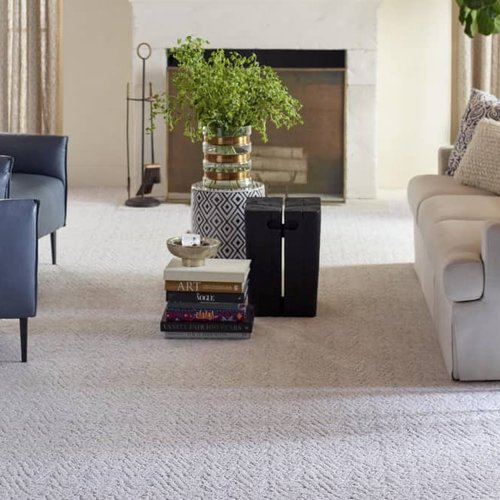 Living Room Pattern Carpet - CarpetsPlus Design Showroom of Hutchinson in Hutchinson, MN