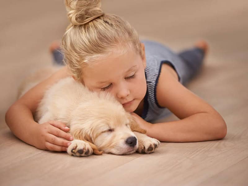 Easy care floors – A guide to low maintenance flooring options for busy homes